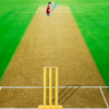 Cricket Master™ GameSet | Versterk je Skills en Reactievermogen met Premium Outdoor Cricket Set (50% KORTING)