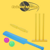 Cricket Master™ GameSet | Versterk je Skills en Reactievermogen met Premium Outdoor Cricket Set (50% KORTING)