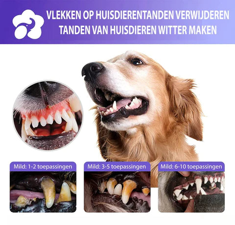 Gebitskracht™ | Optimale Gebitsverzorging voor Honden & Katten (1+1 GRATIS)