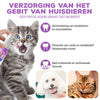 Gebitskracht™ | Optimale Gebitsverzorging voor Honden & Katten (1+1 GRATIS)